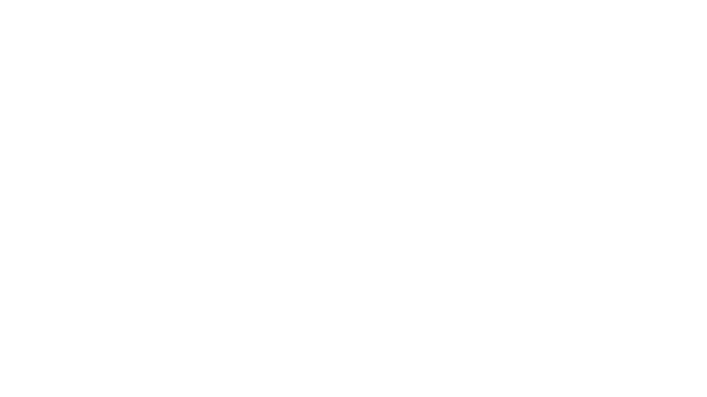 Haeley Porter Logo